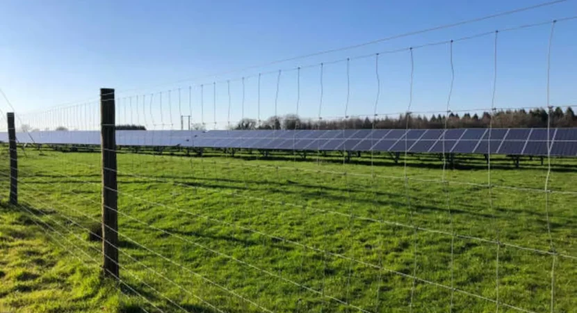 solar fencing 2